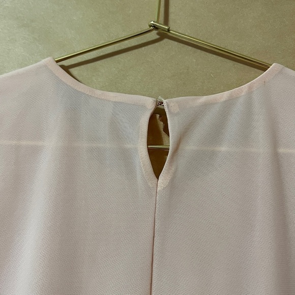 Parade | Luxe Sleeveless Bodysuit Silky Mesh Sheer Seashell Pink Size L - Picture 9 of 13